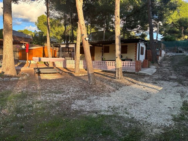 Parcela en finca terol tibi