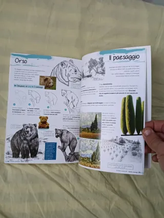 Imparare a disegnare