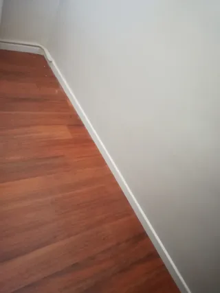 Parquetista profesional