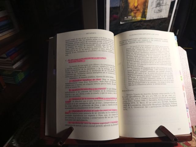 Metafísica, metafísica de lo concreto e int meta