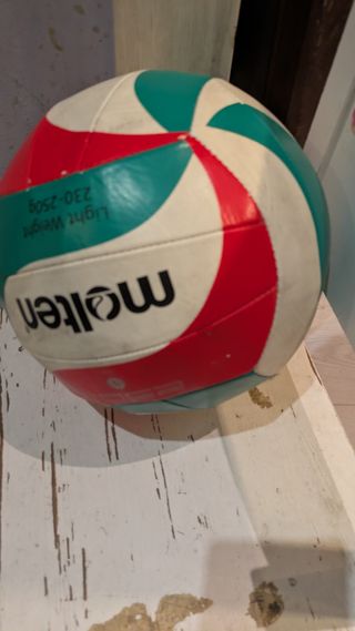 Pelota de voleibol Molten