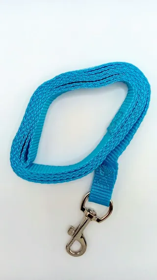 Set collare taglia XS e guinzaglio per cani.