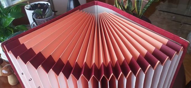 (PERFECTA-GRANDE) CARPETA CLASIFICADORA CON FUELLE