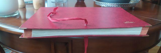 (PERFECTA-GRANDE) CARPETA CLASIFICADORA CON FUELLE