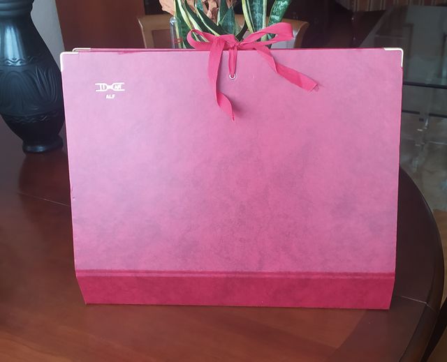 (PERFECTA-GRANDE) CARPETA CLASIFICADORA CON FUELLE