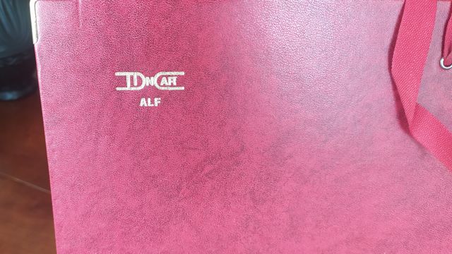 (PERFECTA-GRANDE) CARPETA CLASIFICADORA CON FUELLE