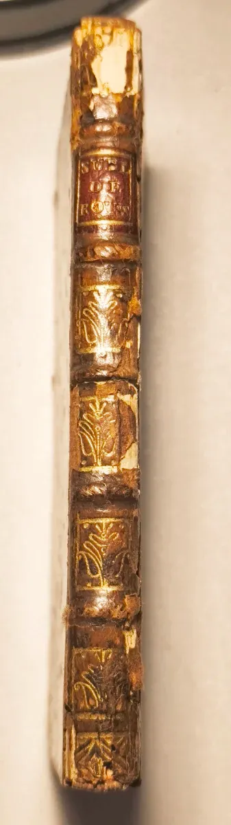 Libro antiguo: Complemento a las obras de Rousseau