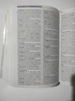 DICC. SECUNDARIA BACH LENGUA ESPAÑOLA