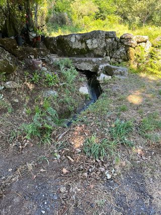 Se venden o intercambian fincas en Galicia — Ideal para proyecto rural o segunda residencia