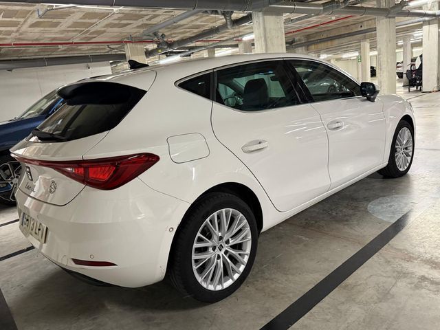 SEAT Leon 2021 pegatina C