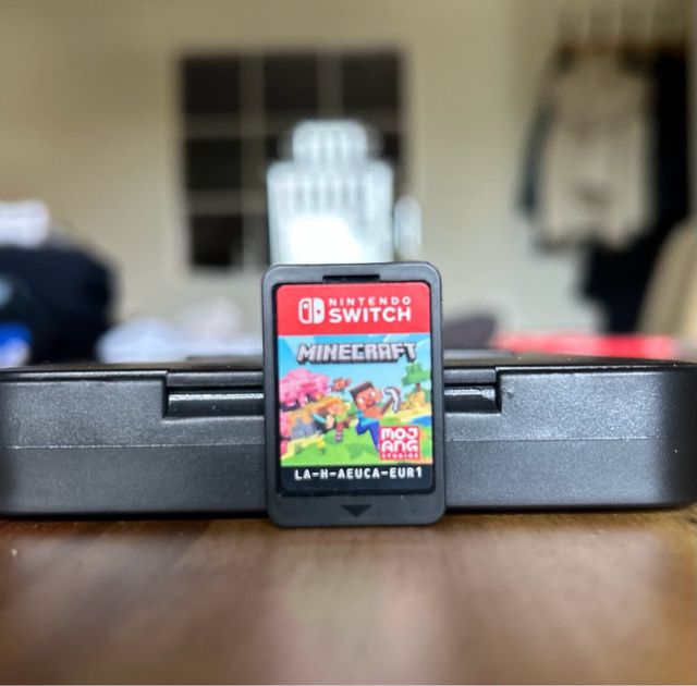 Minecraft Nintendo Switch