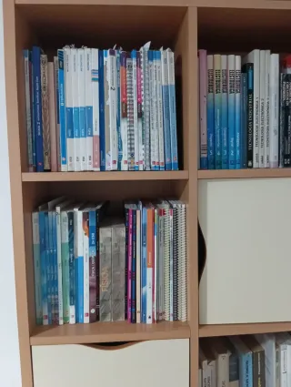 Profesor de Bachillerato y Ciclos formativos