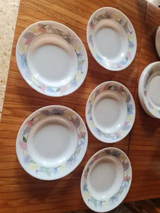 Set 15 piatti Arcopal floreali