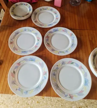 Set 15 piatti Arcopal floreali