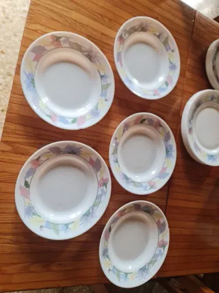 Set 15 piatti Arcopal floreali