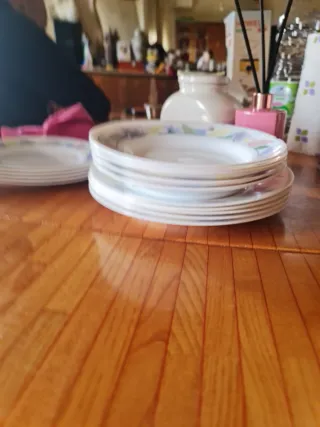 Set 15 piatti Arcopal floreali