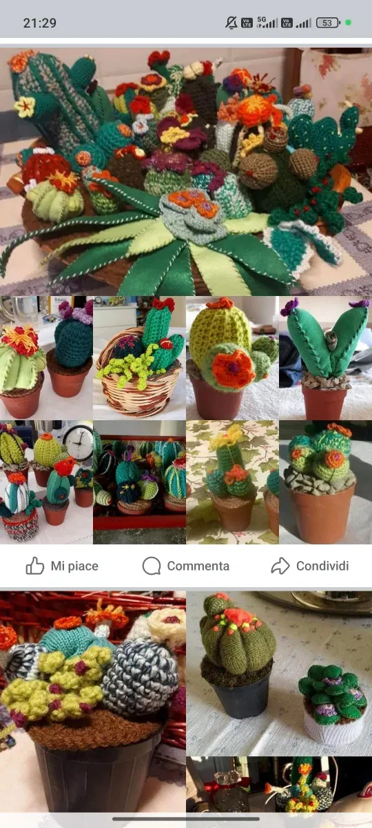 Piante grasse e varie uncinetto