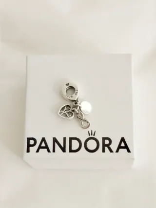 Charm Colgante Corazón Infinito y Familia