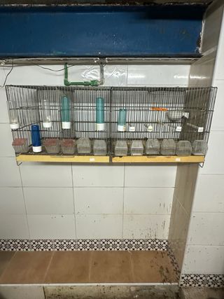 Jaula para pájaros canarios 1m