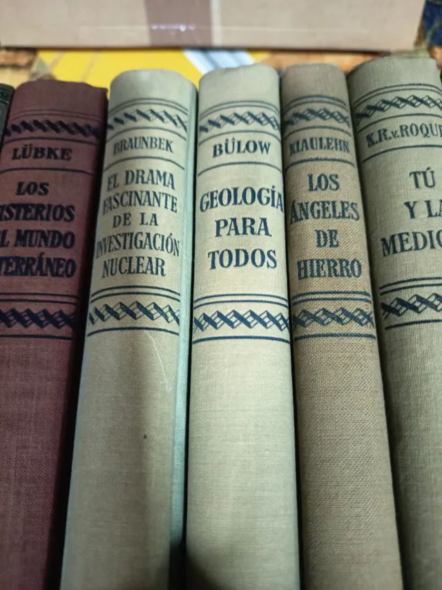 Libros antiguos: Grimm, Lübke, Braunbek