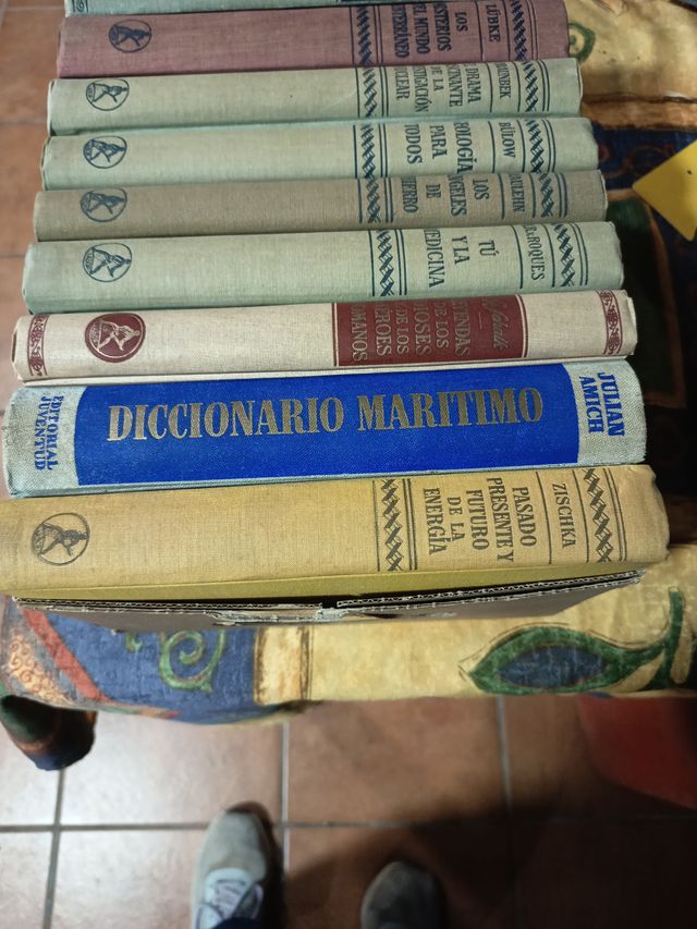 Libros antiguos: Grimm, Lübke, Braunbek