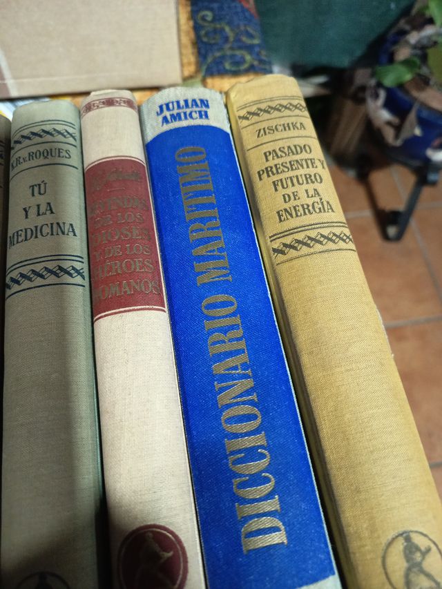 Libros antiguos: Grimm, Lübke, Braunbek