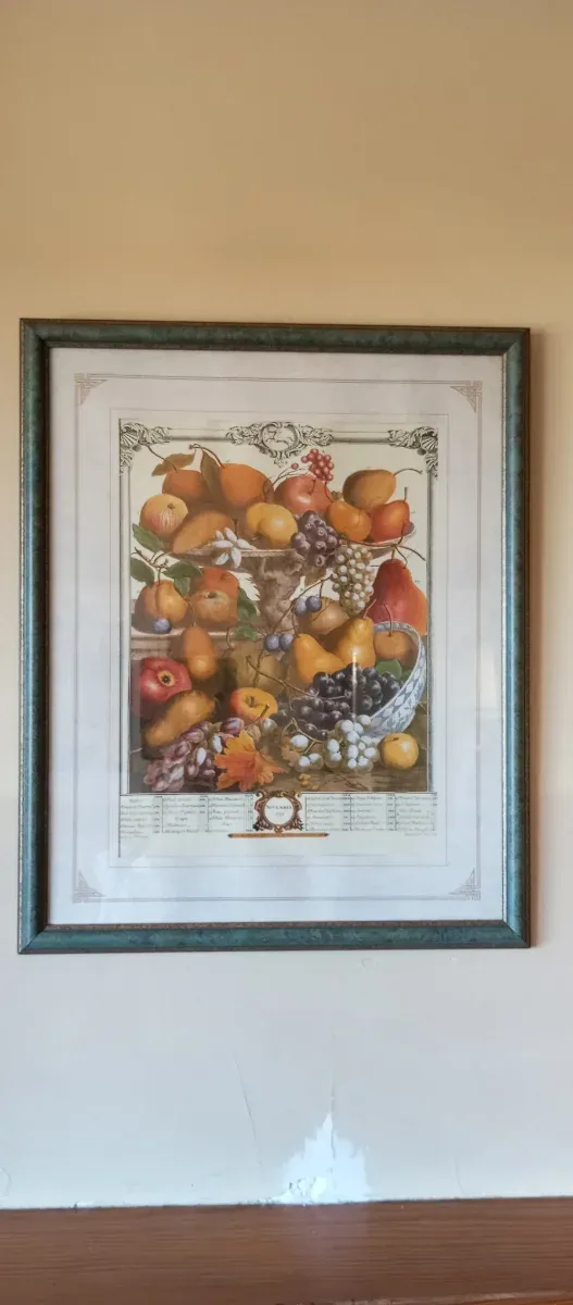 Cuadro Frutal Rob Furber 1732