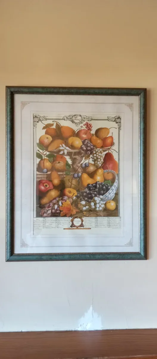 Cuadro Frutal Rob Furber 1732