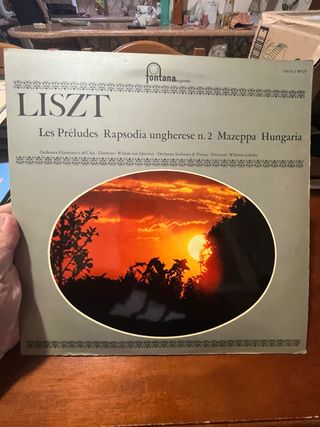 Lotto 10 Vinili Classica Fontana Argento