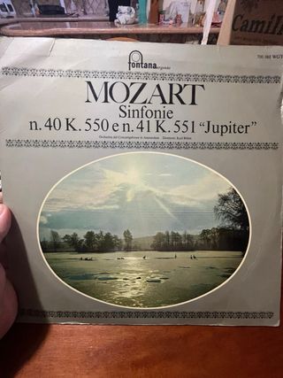 Lotto 10 Vinili Classica Fontana Argento