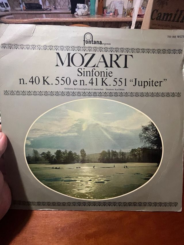 Lotto 10 Vinili Classica Fontana Argento