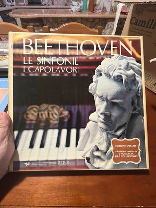 Lotto 10 Vinili Classica Fontana Argento