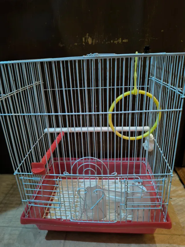 Jaula para pájaros