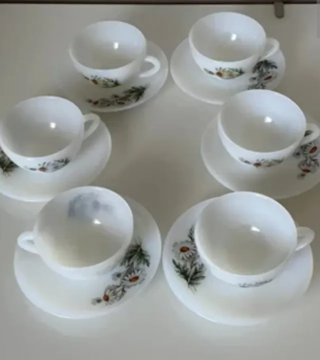 Juego 6 Tazas Café Arcopal Margaritas