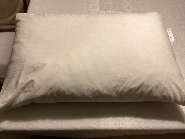 2 Rellenos para cojín de Plumón 40 x 60