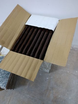 Tejas Borja Francisco Ramón Borja