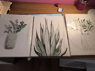 3 Piante Verdi Decorative Quadri