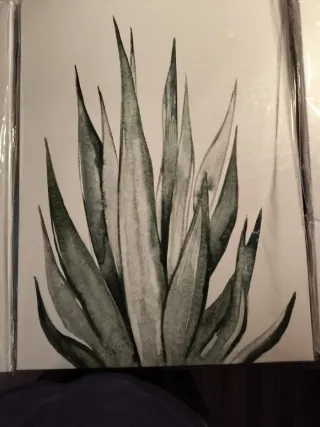 3 Piante Verdi Decorative Quadri