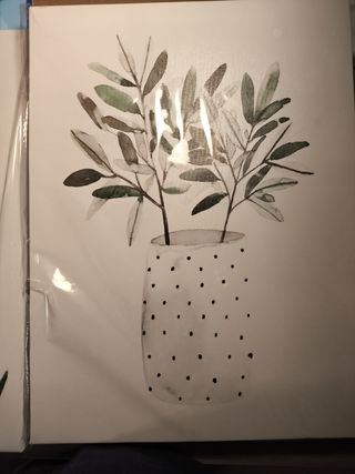 3 Piante Verdi Decorative Quadri