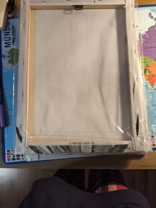 3 Piante Verdi Decorative Quadri