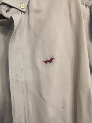 Camisa Gilbert Teckel azul chico