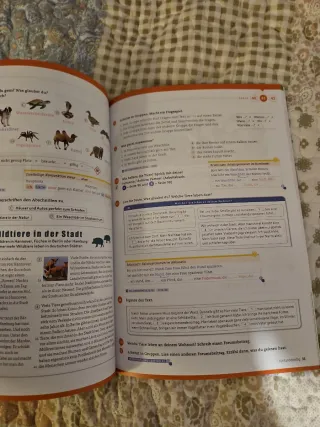 Libro Alemán nivel B1