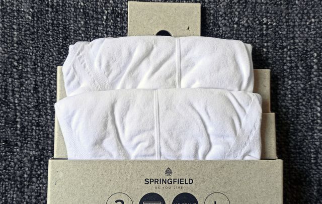 Pack de 2 slips hombre Talla L (A ESTRENAR)