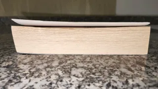 El Psicoanalista (Spanish Edition)