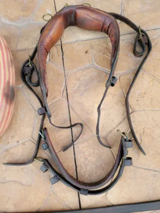 Arreos a la limonera de cuero