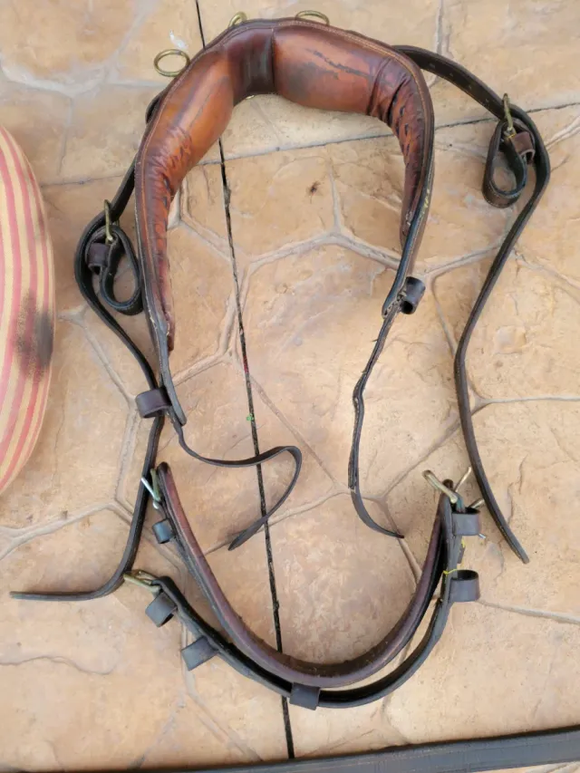 Arreos a la limonera de cuero