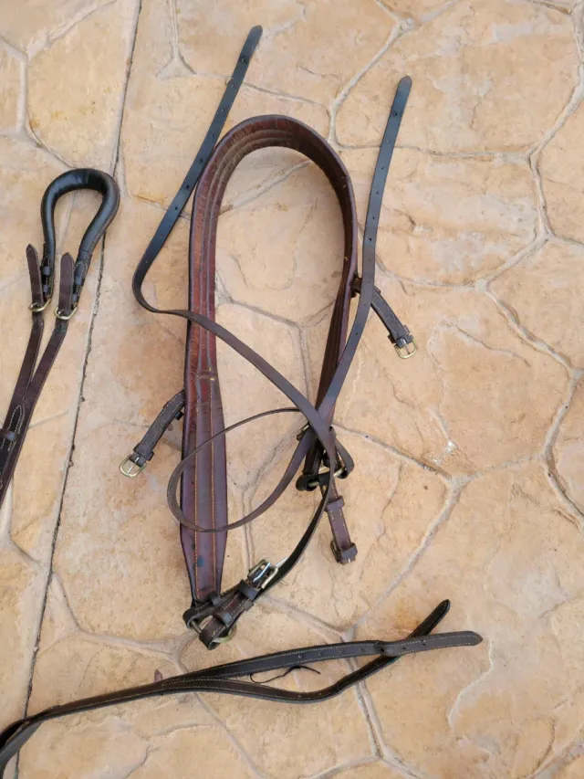 Arreos a la limonera de cuero