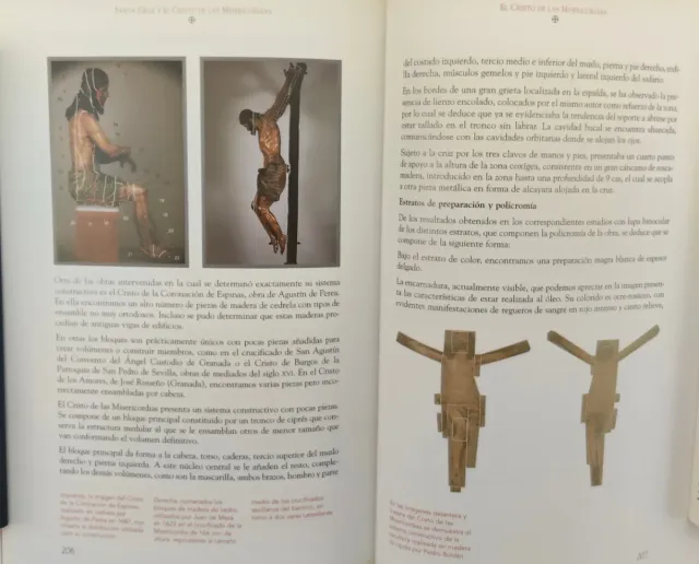 Libro Santa Cruz y el Cristo de las Misericordias