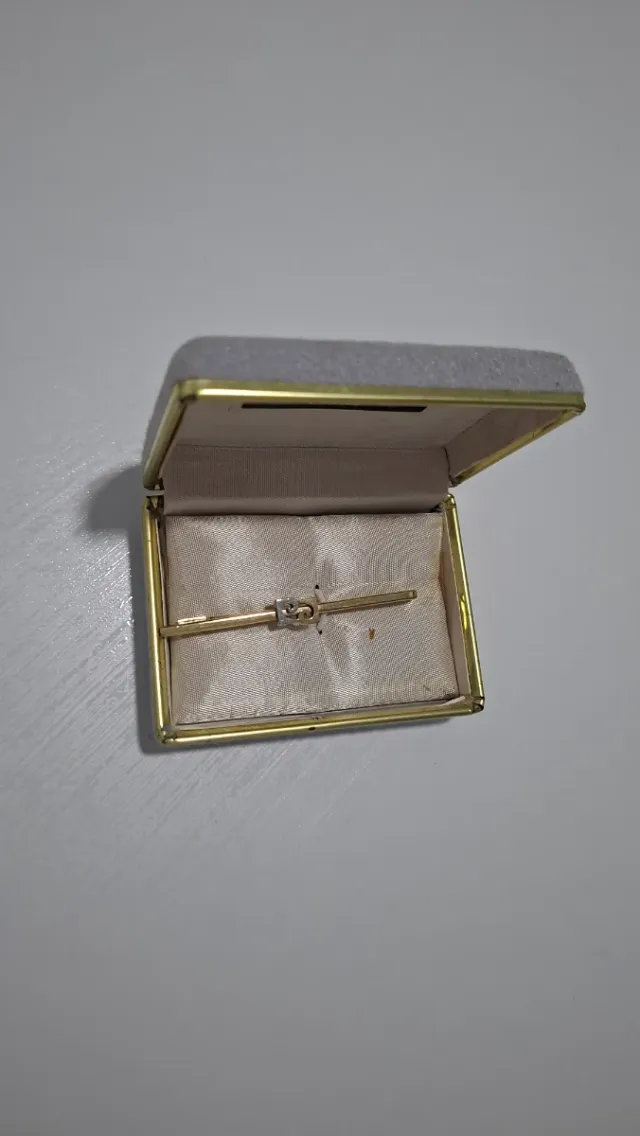 Alfiler de corbata dorado y plateado