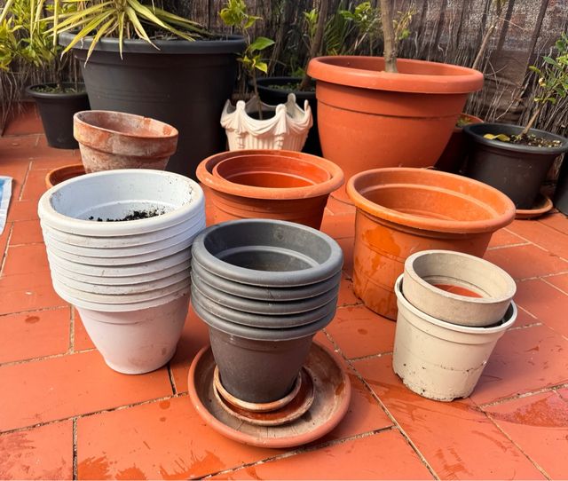 Lote de Maceteros Variados